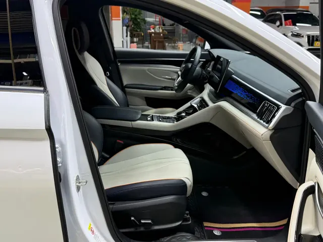 BYD Song PLUS PHEV 2021 EV Flagship — Фото автомобиля 9