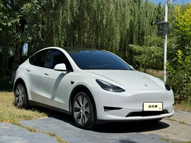 Tesla Model Y — Фото автомобиля 3