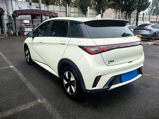 BYD Dolphin — Фото автомобиля 6