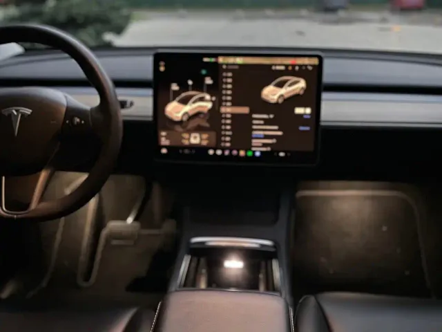 Tesla Model Y — Фото автомобиля 6