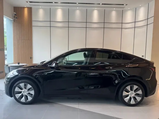 Tesla Model Y — Фото автомобиля 4