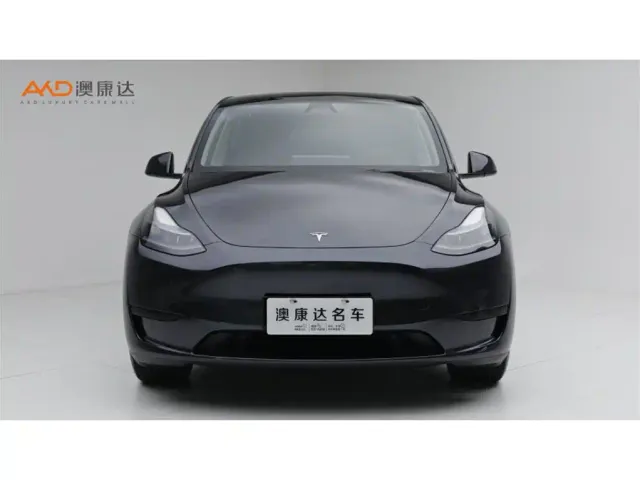 Tesla Model Y — Фото автомобиля 2
