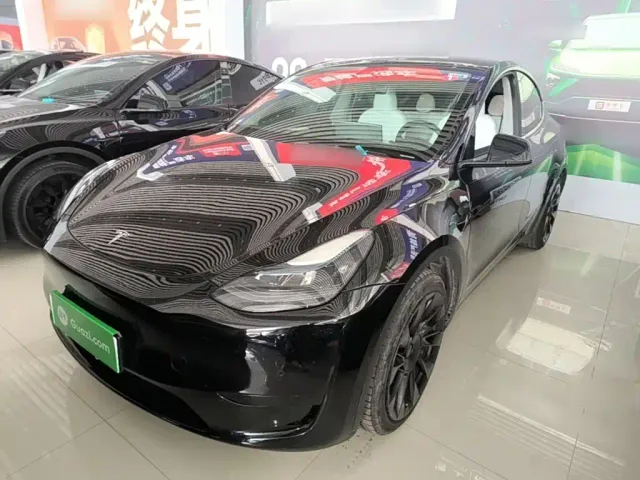 Tesla Model Y — Фото автомобиля 2