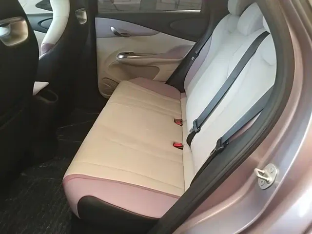 BYD Dolphin — Фото автомобиля 16