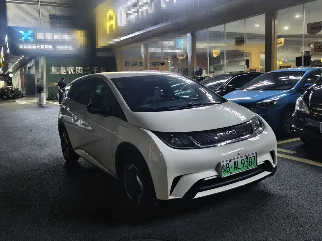 BYD Dolphin — Фото автомобиля 3