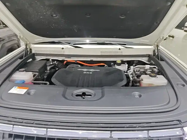 BYD FangChengBao Leopard 5 — Фото автомобиля 19