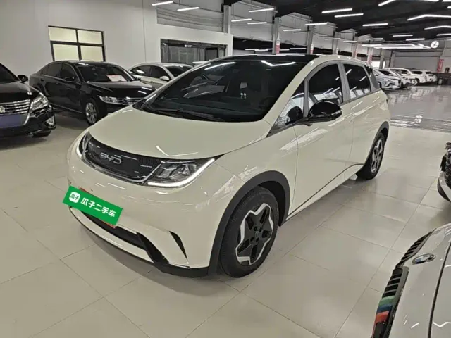 Фотография автомобиля — BYD Dolphin