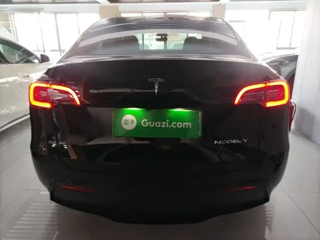 Tesla Model Y — Фото автомобиля 5
