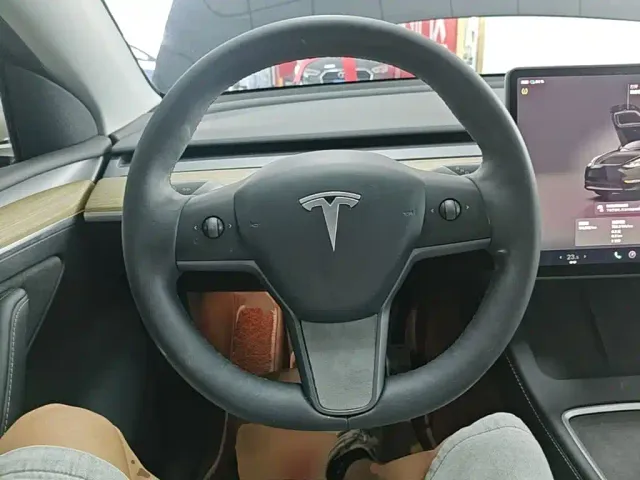 Tesla Model Y — Фото автомобиля 10