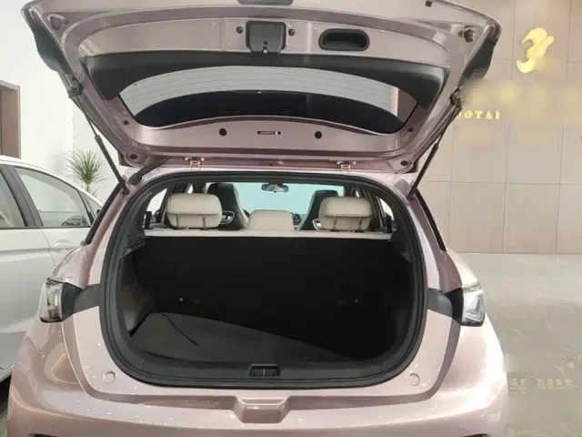 BYD Dolphin — Фото автомобиля 18