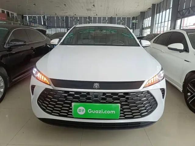 BYD Qin PLUS — Фото автомобиля 2
