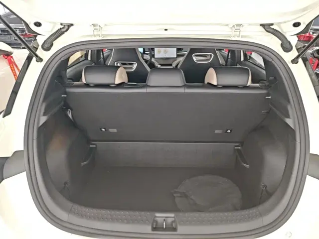 BYD Dolphin 2025 420km Freedom Edition — Фото автомобиля 18