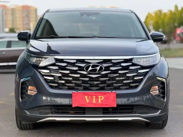 Hyundai Custo — Фото автомобиля 2