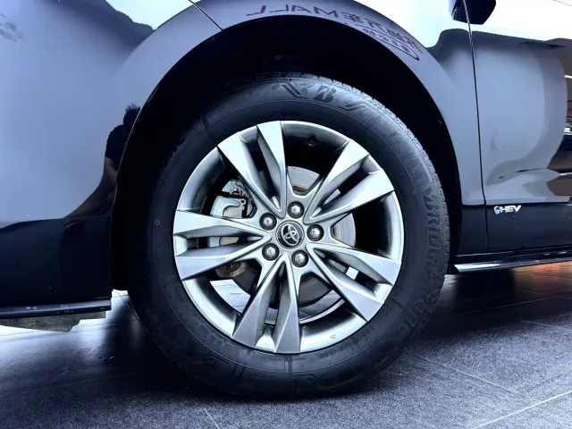 Toyota Sienna — Фото автомобиля 10