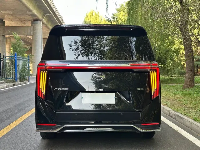 GAC Trumpchi M8 — Фото автомобиля 15