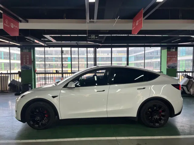 Tesla Model Y — Фото автомобиля 3