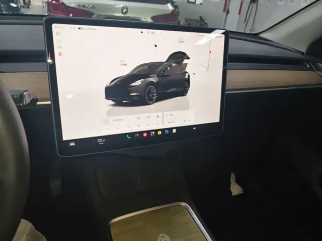 Tesla Model Y — Фото автомобиля 12
