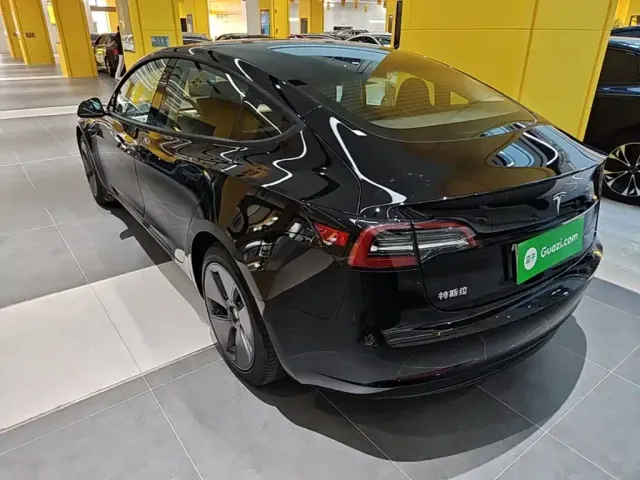 Tesla Model 3 — Фото автомобиля 4