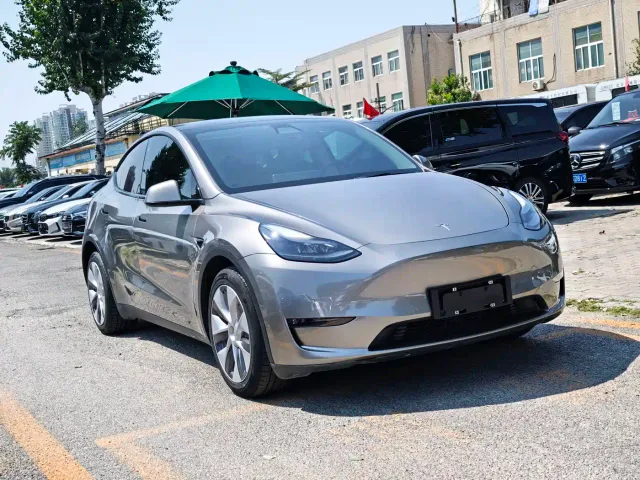 Tesla Model Y — Фото автомобиля 3