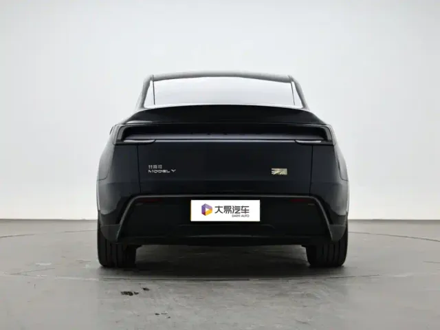 Tesla Model Y — Фото автомобиля 4
