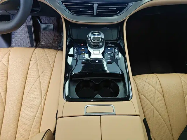 Denza D9 — Фото автомобиля 13