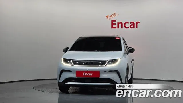 BYD Dolphin — Фото автомобиля 2