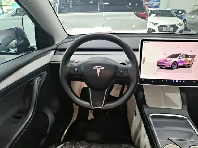 Tesla Model Y — Фото автомобиля 10