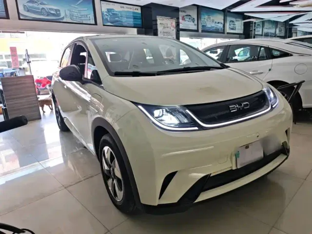 BYD Dolphin — Фото автомобиля 3