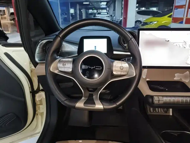 BYD Dolphin — Фото автомобиля 10