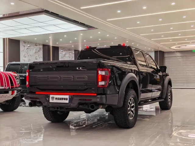 Ford F-150 Raptor — Фото автомобиля 11