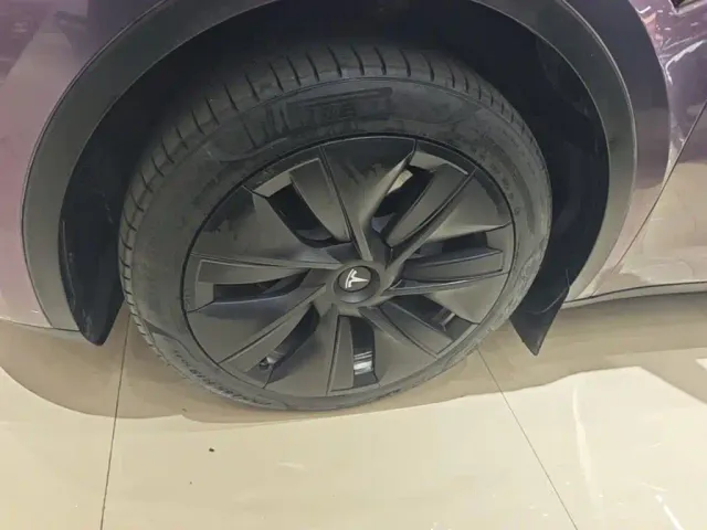 Tesla Model Y — Фото автомобиля 22