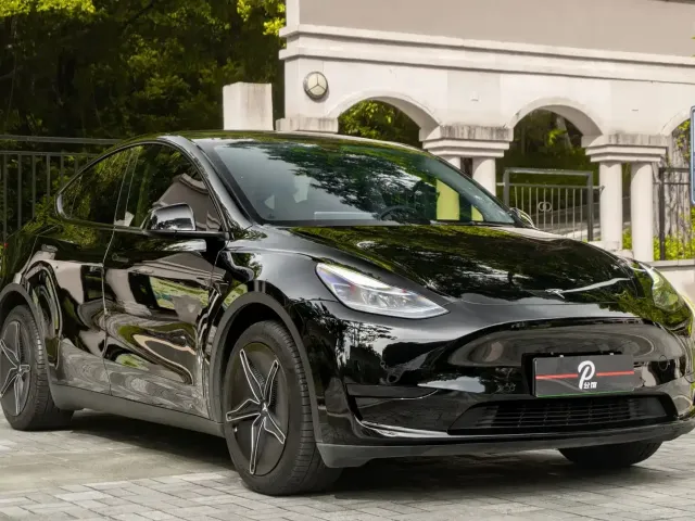 Tesla Model Y — Фото автомобиля 3