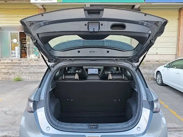BYD Dolphin — Фото автомобиля 18