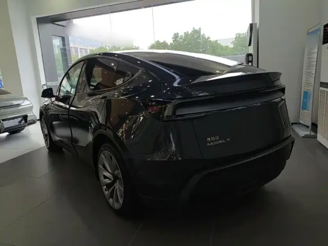 Tesla Model Y — Фото автомобиля 4