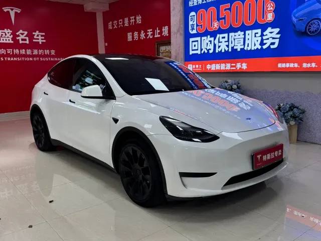 Tesla Model Y — Фото автомобиля 3