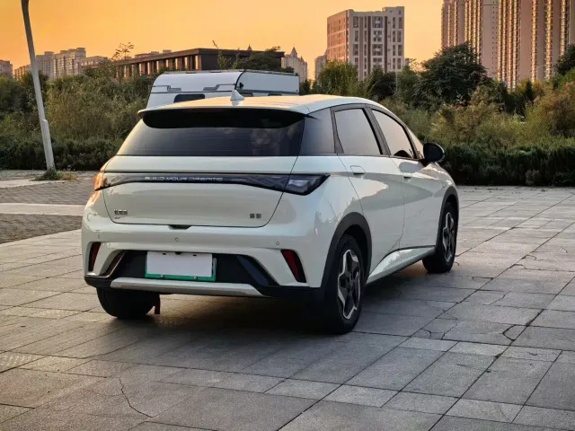 BYD Dolphin — Фото автомобиля 4