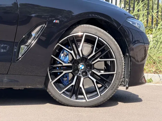 BMW 8 Series — Фото автомобиля 24