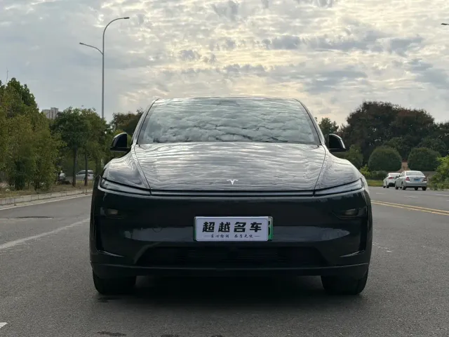 Tesla Model Y — Фото автомобиля 2