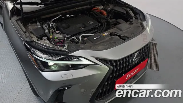 Lexus NX NX450h+ 2nd Gen — Фото автомобиля 9