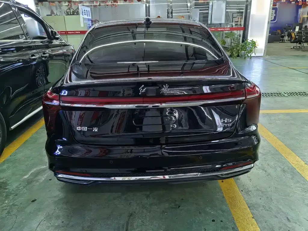 Hongqi Hongqi H5 2024 1.5T DCT Smart Connect Flag Rhythm Edition — Фото автомобиля 8