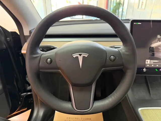 Tesla Model Y — Фото автомобиля 9