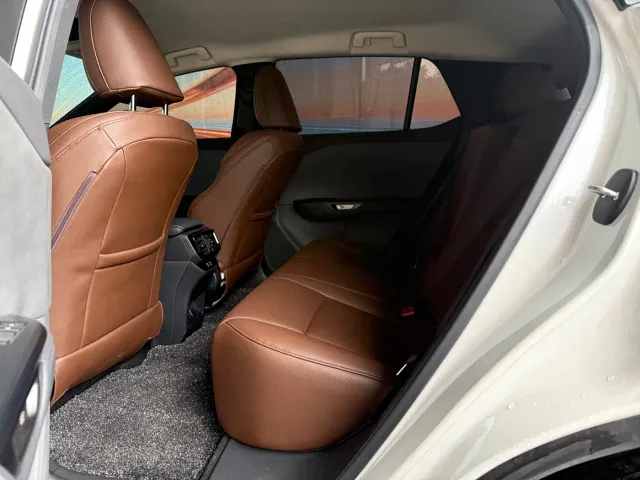 Lexus RZ — Фото автомобиля 8