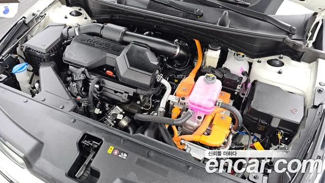 Kia Sportage — Фото автомобиля 6