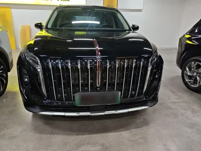 Hongqi HS7 PHEV — Фото автомобиля 2