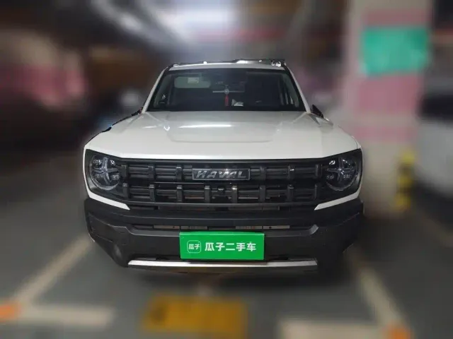 Haval Cool Dog — Фото автомобиля 23
