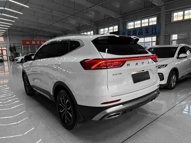 Haval H6 — Фото автомобиля 6