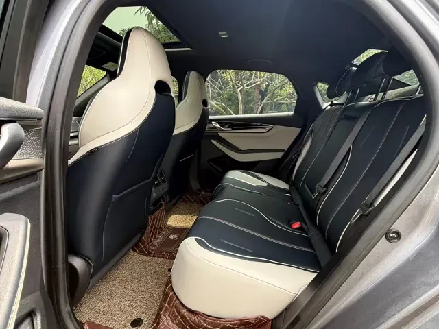 BYD Qin PLUS — Фото автомобиля 6