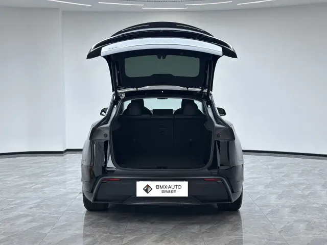 Tesla Model Y — Фото автомобиля 6