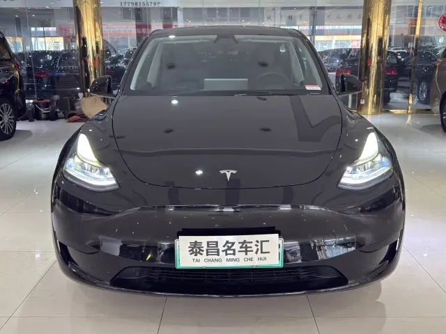 Tesla Model Y — Фото автомобиля 2