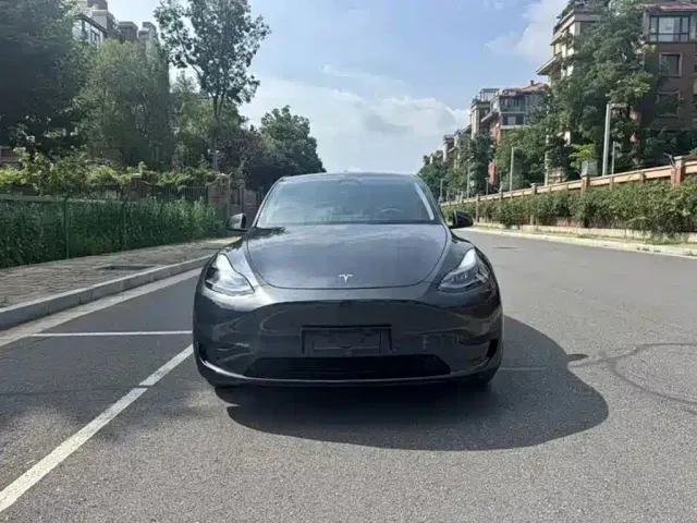 Tesla Model Y — Фото автомобиля 2